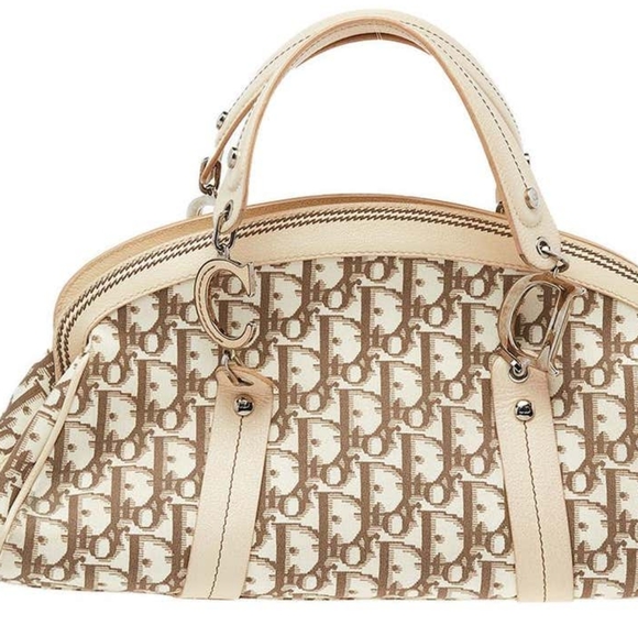 DIOR - Floral Embroidered Trotter Satchel & Clogs - Picture 3 of 16